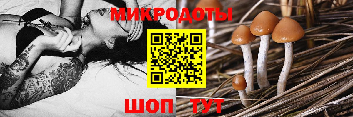 Псилоцибиновые грибы ЛСД Похвистнево